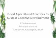 Good Agricultural Practices to Sustain Coconut Development