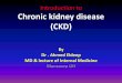 Introduction to Chronic kidney disease (CKD)