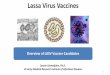 Lassa Virus Vaccines - WHO