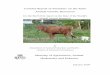 Country Report of Suriname on the Farm Animal Genetic 