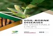 SOIL-BORNE 2019 DISEASES IN VEGETABLE CROPS