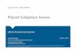 Patent Litigation Issues - University of Missouri System