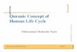Quranic Concept of Human Life Cycle - mubashirnazir.org