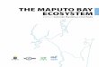 THE MAPUTO BAY ECOSYSTEM