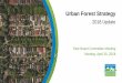 Urban Forest Strategy - Vancouver