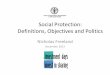 Social Protection: Definitions, Objectives and Politics