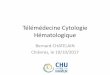 Télémédecine Cytologie Hématologique