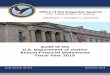 Audit of the DOJ Annual Financial Statements Fiscal Year 2019