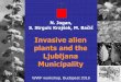 Invasive alien plants and the Ljubljana Municipality