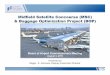 Midfield Satellite Concourse (MSC) Baggage Optimization 