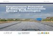 Employment Potential of Emerging Renewable Energy Technologies