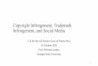Copyright Infringement, Trademark Infringement, and Social 