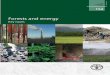 Forests and energy - fao.org