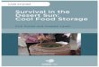 Survival in the Desert Sun: Cool Food Storage