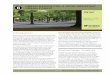 CHAPTER Urban design for a wind resistant Urban forest
