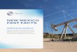 NEW MEXICO FAST FACTS - oxy.com