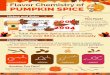 Pumpkin Spice Chemistry Infographic - Pat Polowsky