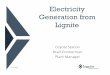 Electricity Generation from Lignite