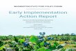 Early Implementation Action Report