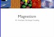 Magnetism - fz-