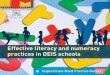 Effective literacy and numeracy practices in DEIS schools