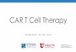 CAR T Cell Therapy - hci-portal.hci.utah.edu