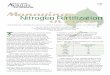 11-04 Managing Nitrogen Fertilization in cotton