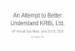 An Attempt to Better Understand KRBL Ltd