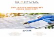 SOLAR PV INDUSTRY JOBS REPORT - SAPVIA