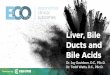 Liver, Bile Ducts and Bile Acids
