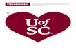 UofSC Going Garnet Decorations - University of South Carolina