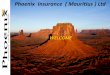 Phoenix Insurance ( Mauritius ) Ltd