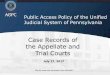 Public Access Policy of the Unified Judicial System of 