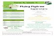 Term 4, Week 9 Flying Figtree
