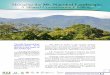 Managing the Mt. Nacolod Landscape: A Shared Conservation 
