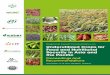 Regional Expert Consultation on Underutilized Crops for 