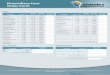 Domiciliary Care Order Form - Standex Systems
