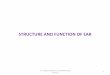 STRUCTURE AND FUNCTION OF EAR