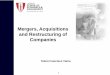 Mergers, Acquisitions and Restructuring of Companies