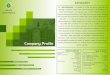Company Profile - Adlite Electricals