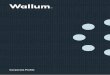 Corporate Profile 1 - Wallum Partners
