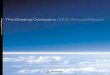The Boeing Company 2002 Annual Report2002 Annual Report