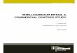 C06087 - Shellharbour Retail & Commercial Centres Study 