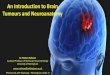 Ruman Rahman - Introduction to brain tumours and neuroanatomy