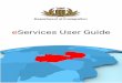 eServices User Guide - Microsoft Azure