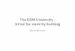 The DSM University A tool for capacity building