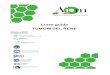 Linee Guida AIOM 2020 Tumori del Rene