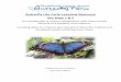 Butterfly Life Cycle Learning Resource