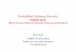Embedded Software Security