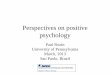 Perspectives on positive psychology - FAPESP